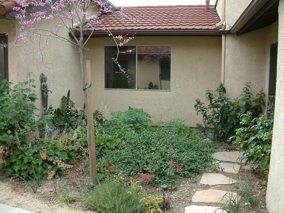 Courtyard Planting Bed