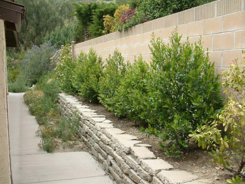 Stacked Broken Concrete Wall Side Yard