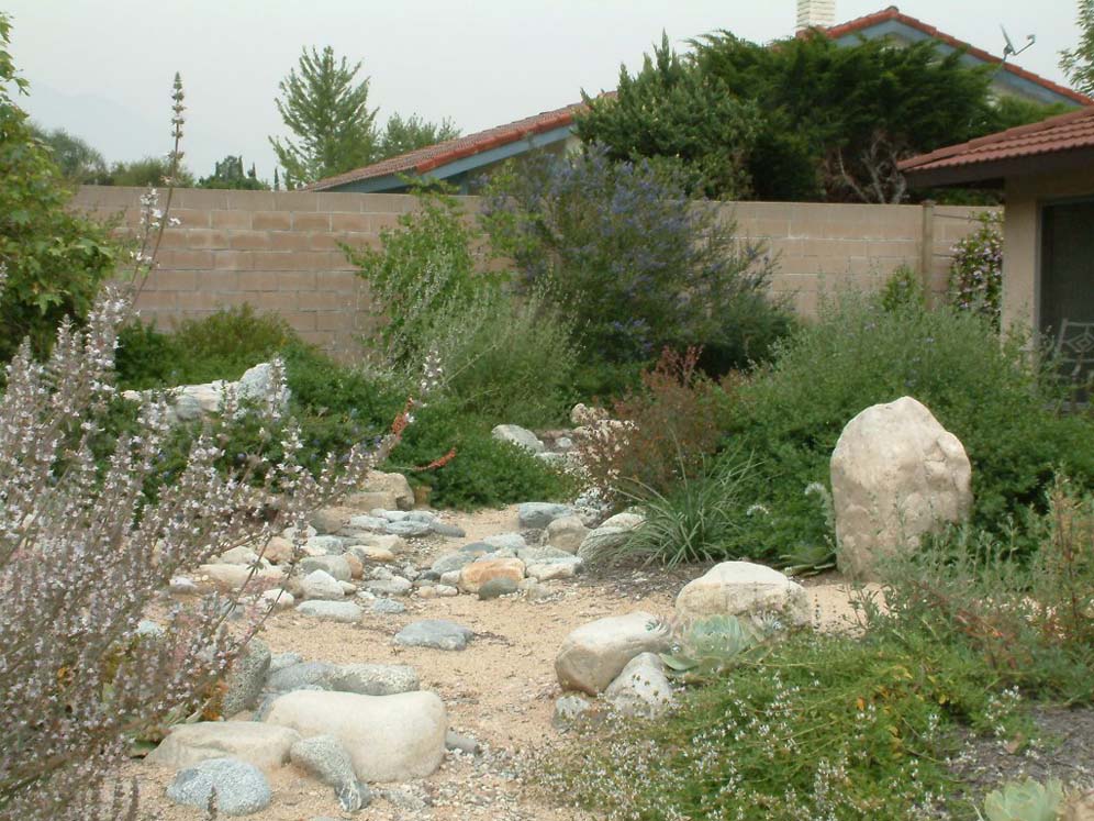 Dry Creek Bed Backyard