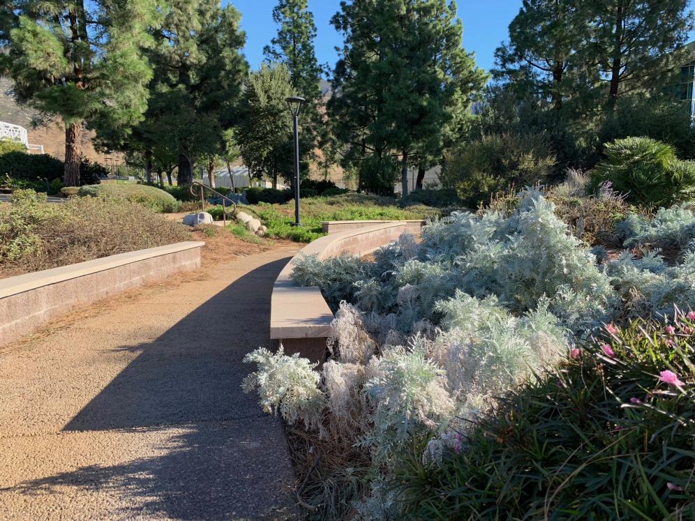 SBV Water Conservation Demo Garden9