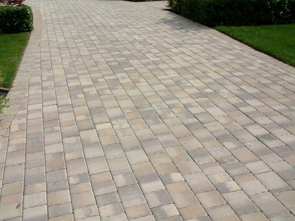 Paver Bricks