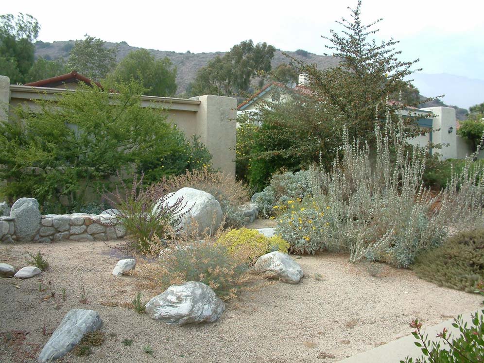 Mountain  and Stone Walls