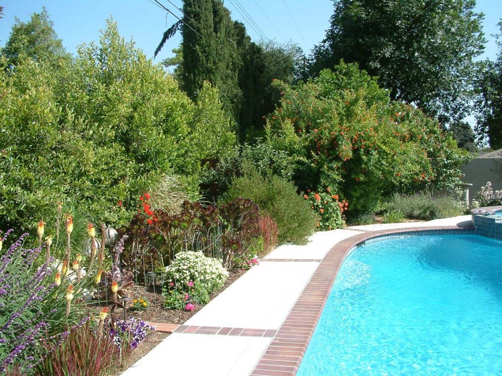 Colorful Poolside Planting