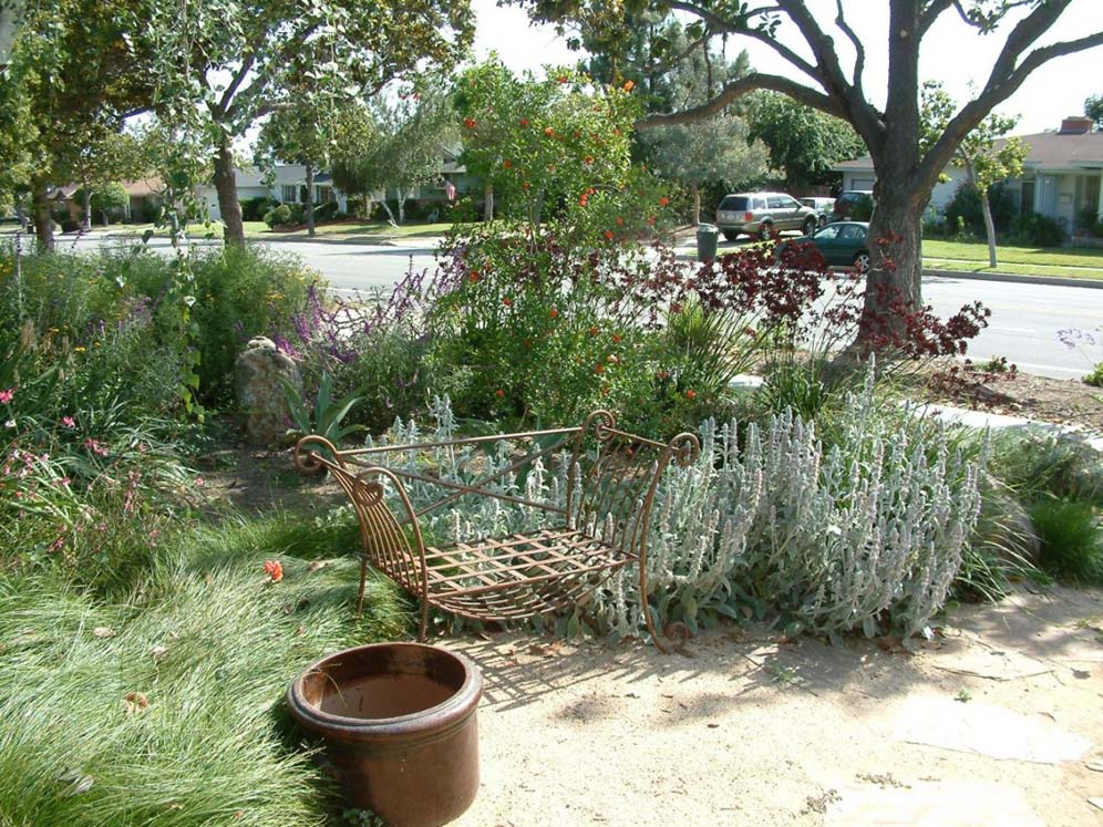 Iron Bench and Lambs Ears