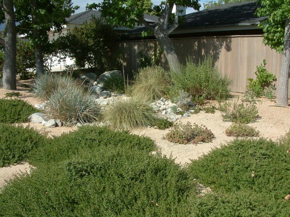 Dry Garden Setting