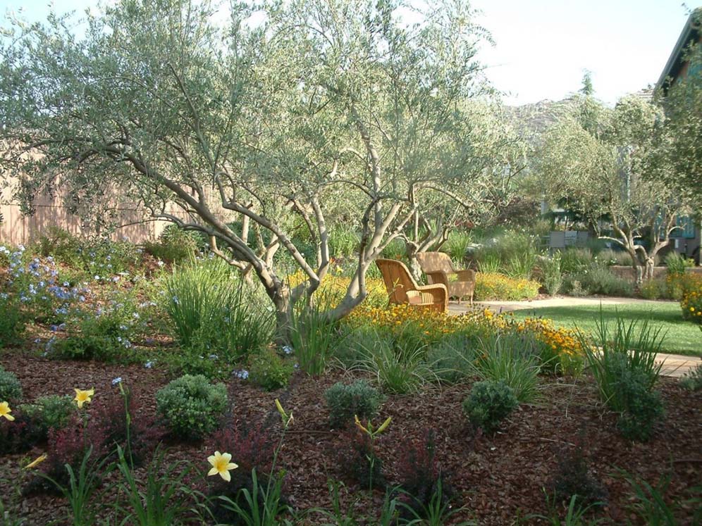 View Through the Foliage