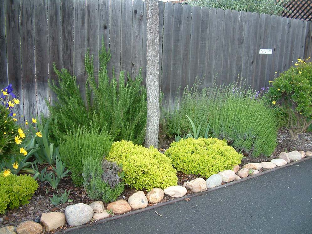 Along the Fence, Pretty in Green