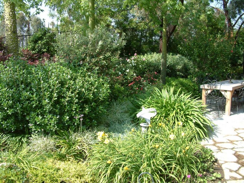 Daylilies along the Walk