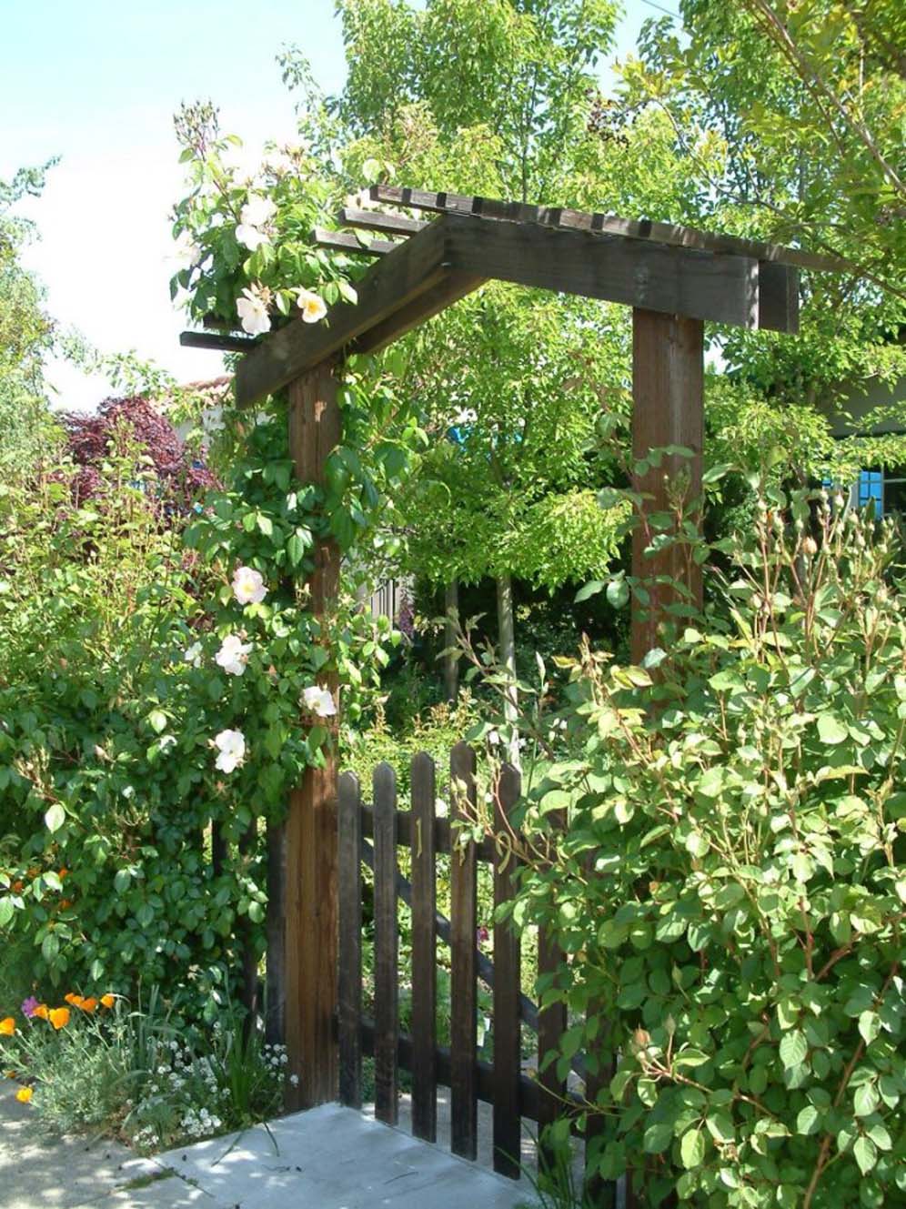 Wooden Gate and Frame