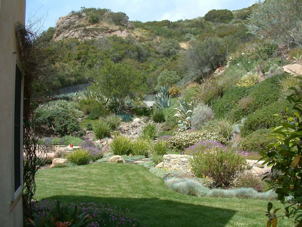 Backyard Blends into Open Space