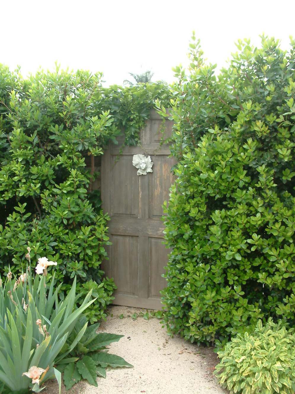 Clever Fake Gate on Back Fence