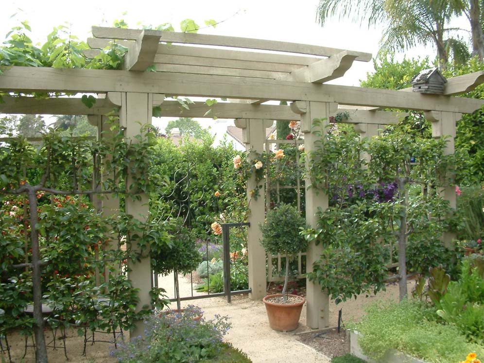 Looking at the Trellis/Arbor Structure