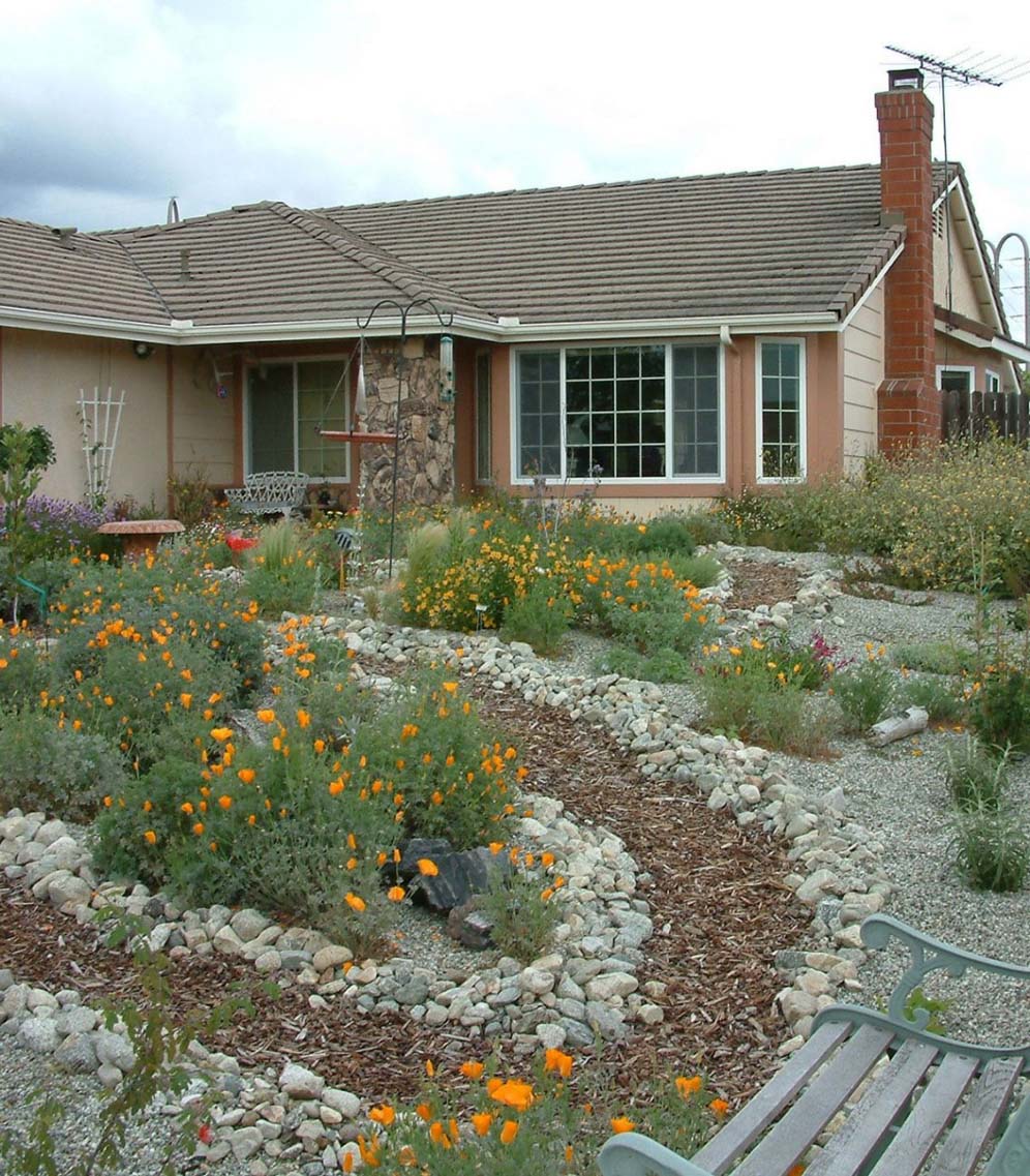 Beds of Poppies