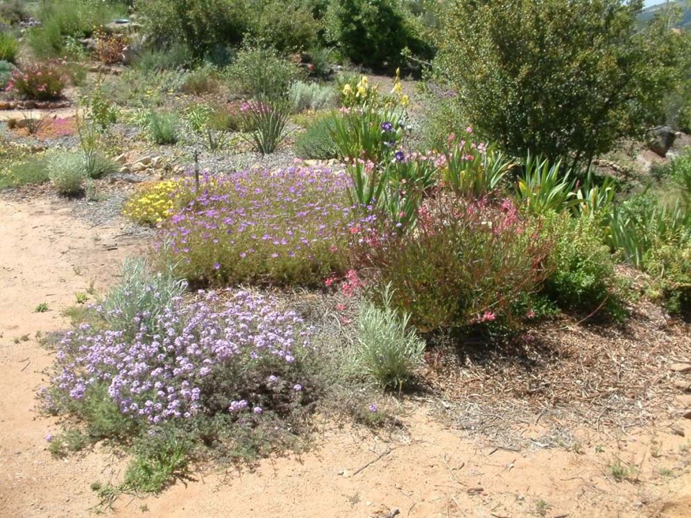 Frommer Planting Bed Detail